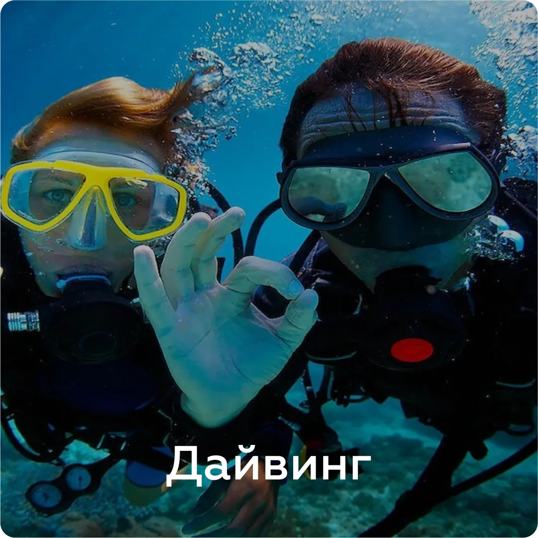 Отзыв гостя