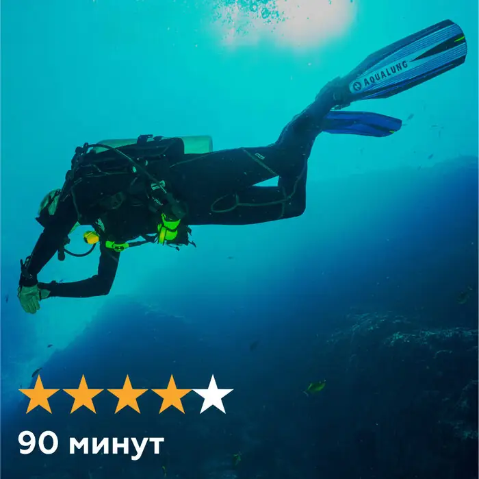 Дайвинг