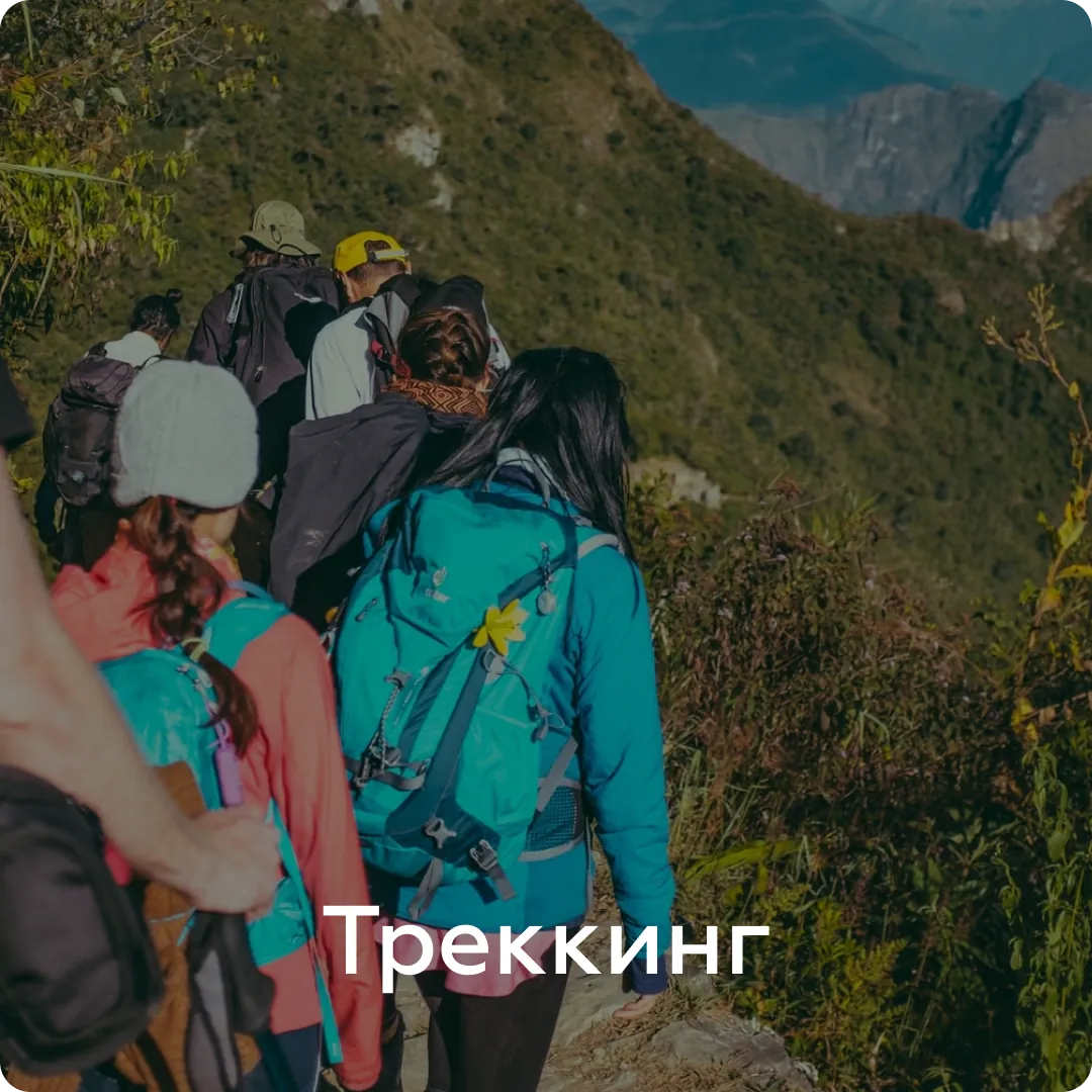 Отзыв гостя
